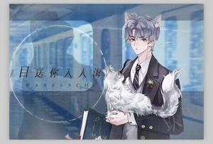 《关于你的这些那些》